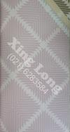 062P T710604.jpg class=